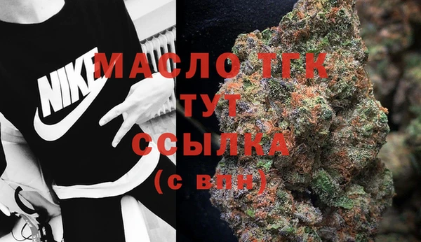 индика Медногорск