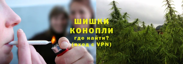 сатива Армянск